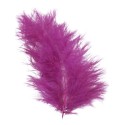 Plume prune