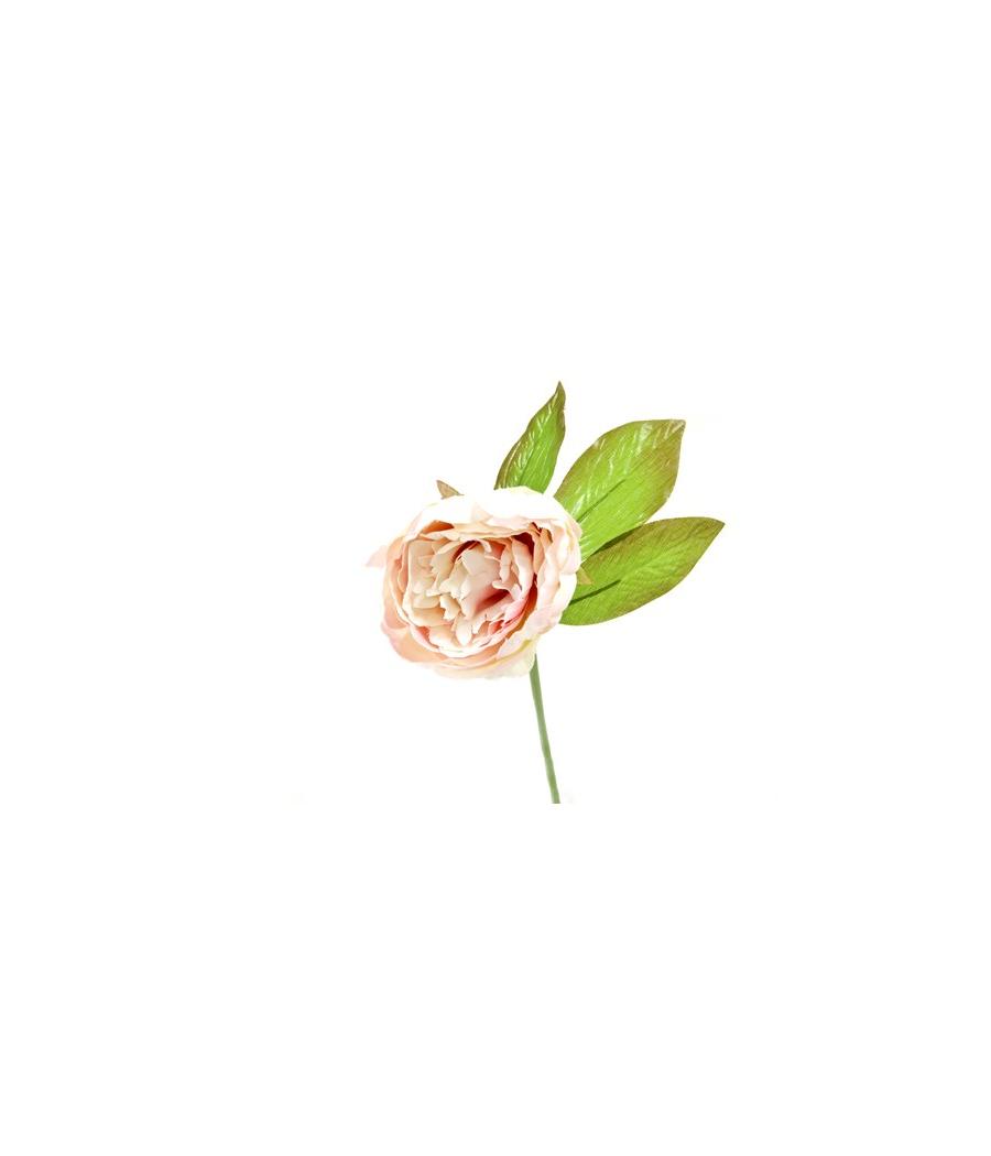 pivoine