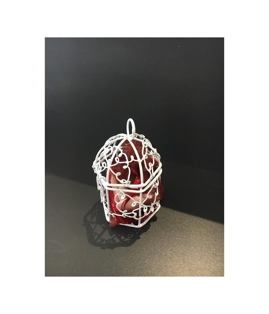 cage oiseaux dragées