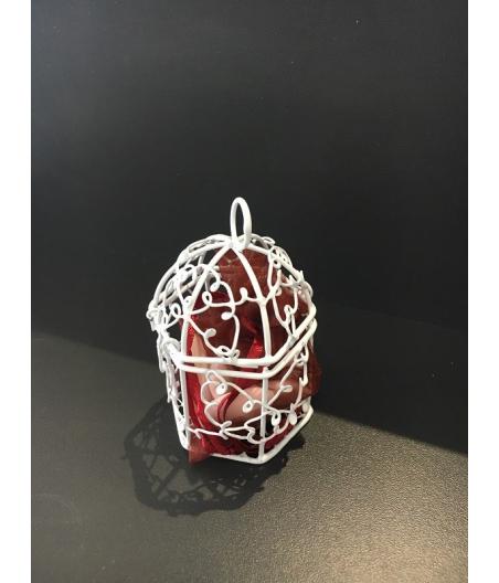 cage oiseaux dragées