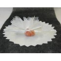  Ronds organza feston en pointe Ivoire 