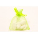 10 sachets Organza Menthe