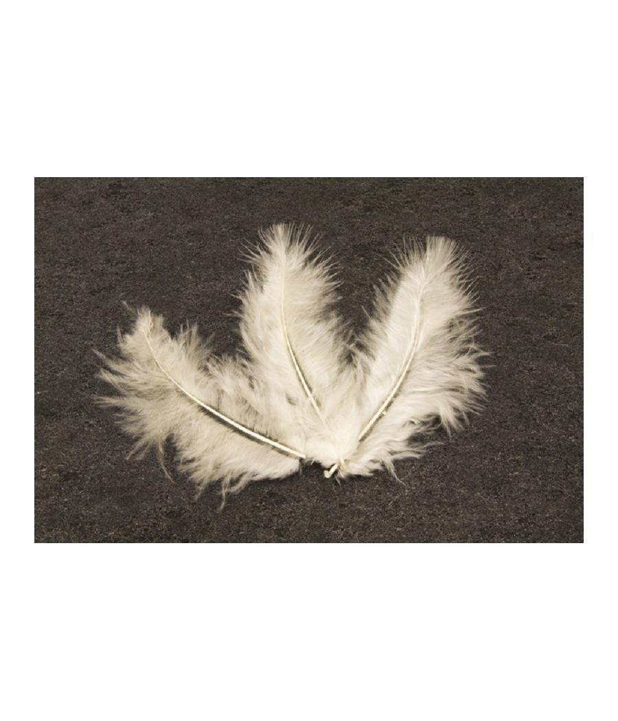 plumes Ivoires 
