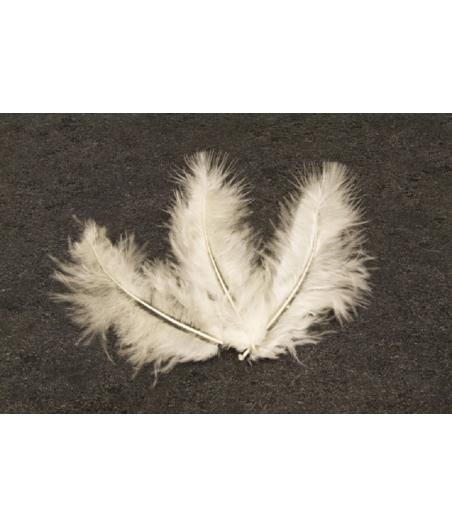  plumes Ivoires 