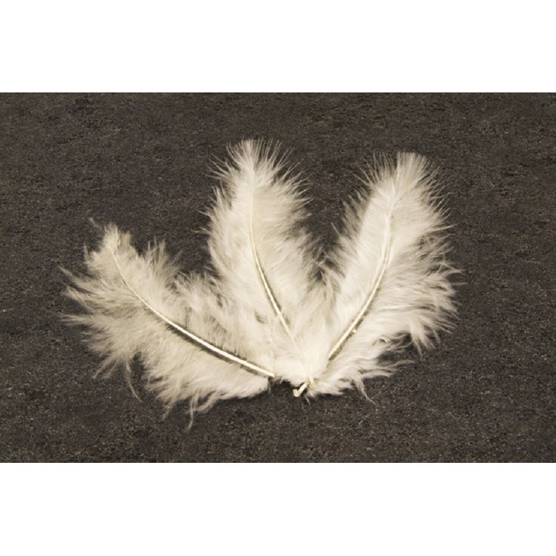  plumes Ivoires 