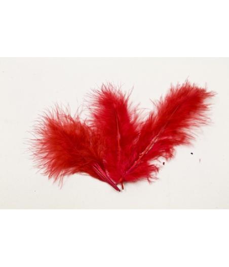 20 plumes rouges