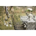 mariage ampoule