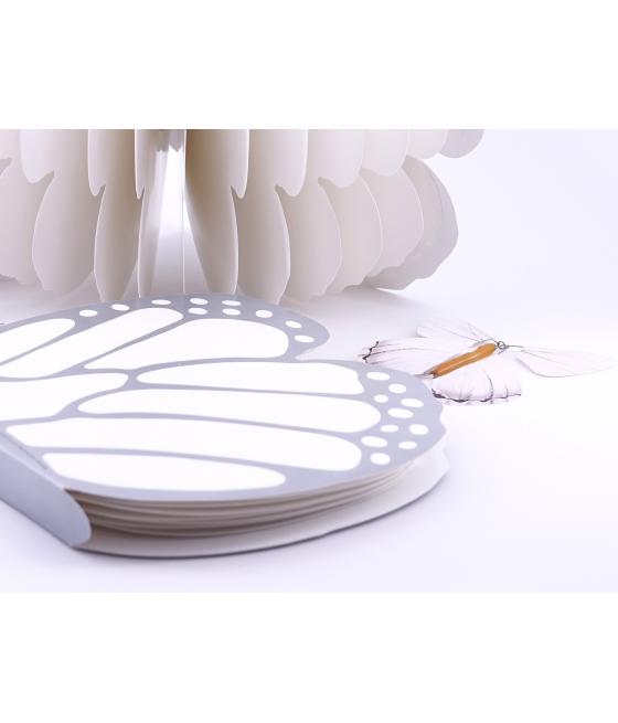 Livret magique  papillons 