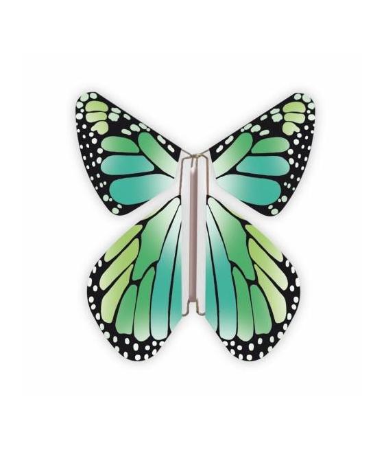 Livret magique  papillons 