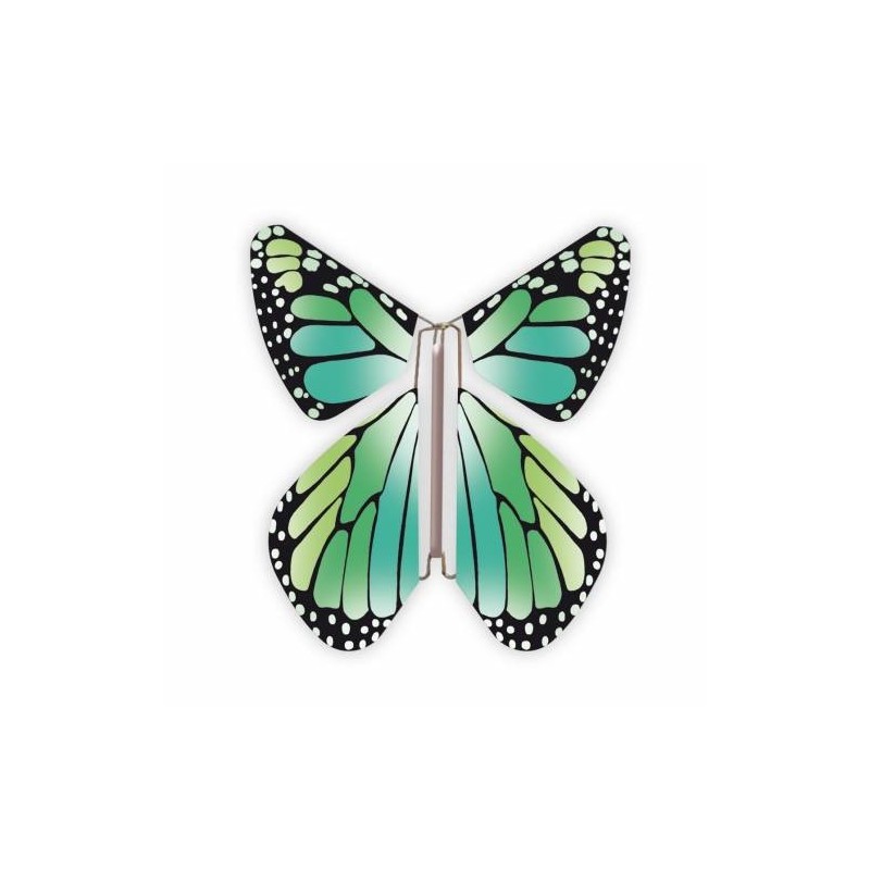 Livret magique  papillons 