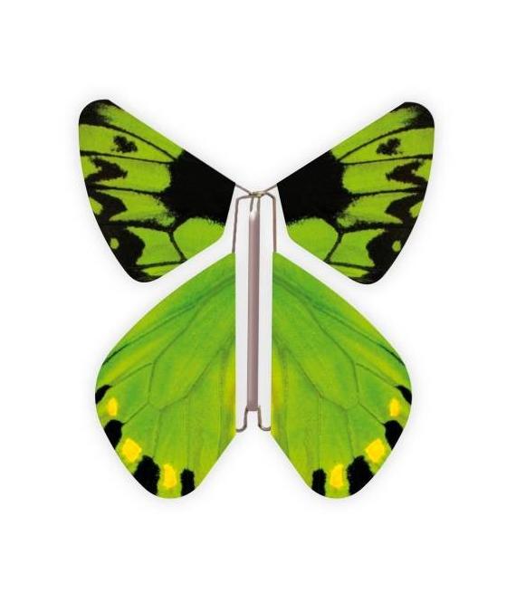 Livret magique  papillons 