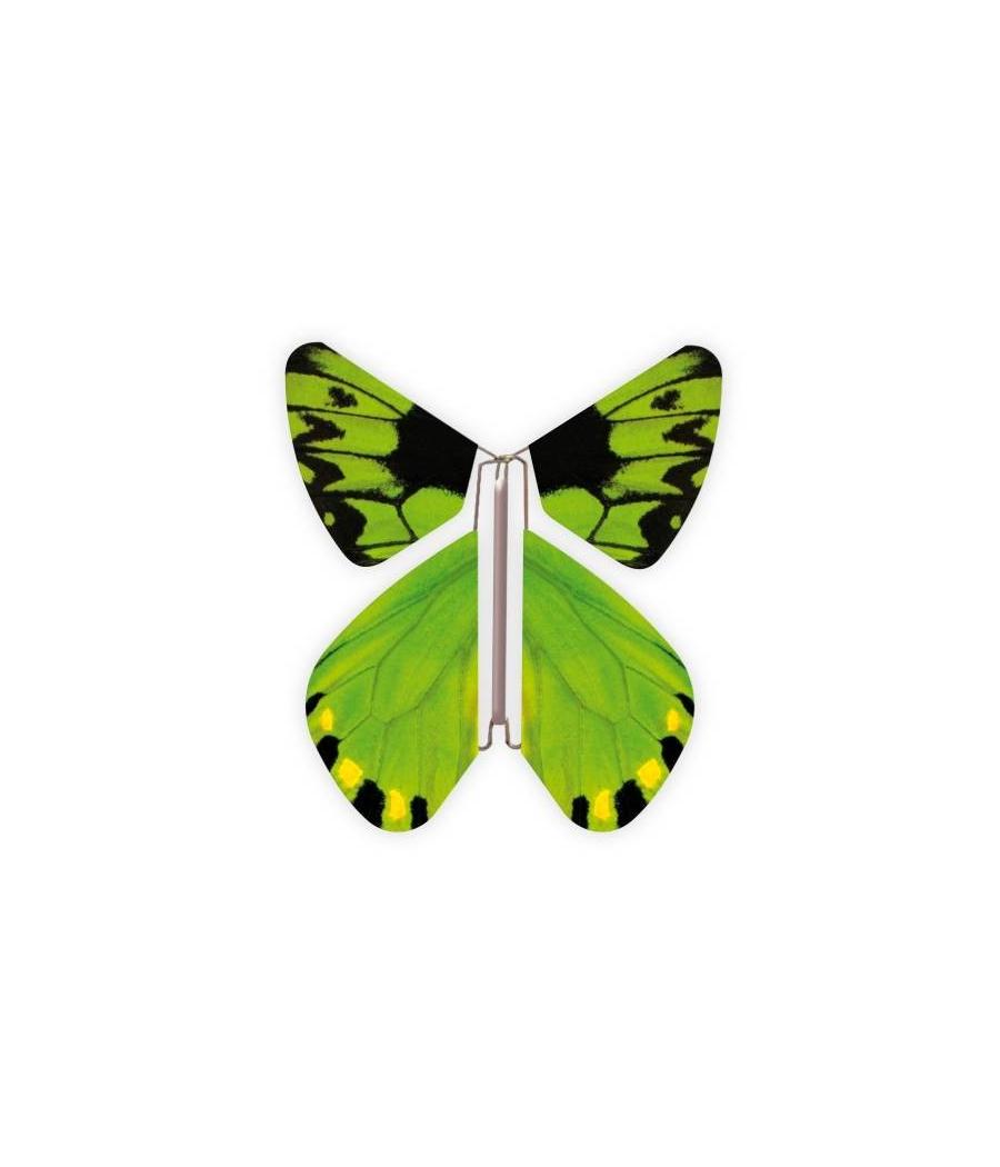 Livret magique  papillons 