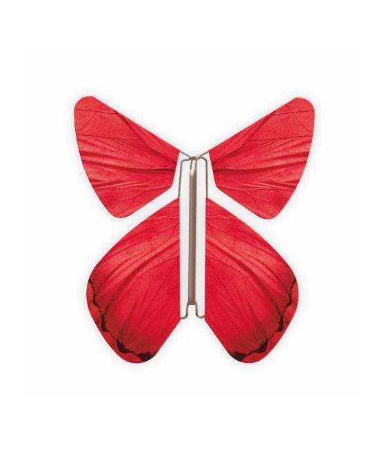 Livret magique  papillons 