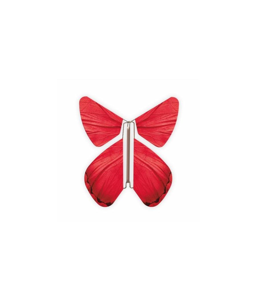 Livret magique  papillons 