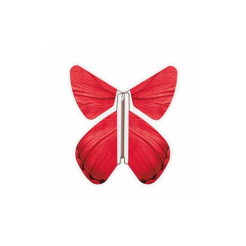Livret magique  papillons 