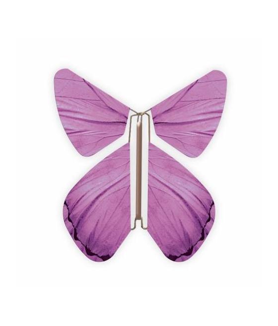 Livret magique  papillons 