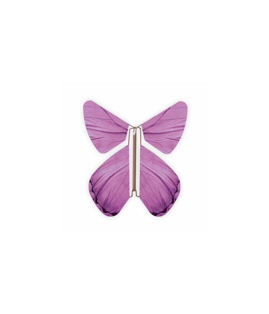 Livret magique  papillons 