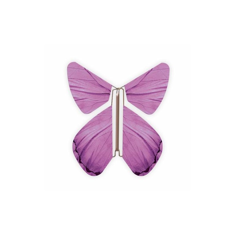 Livret magique  papillons 