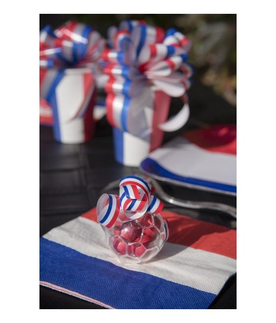 4 ballons de foot en plexi