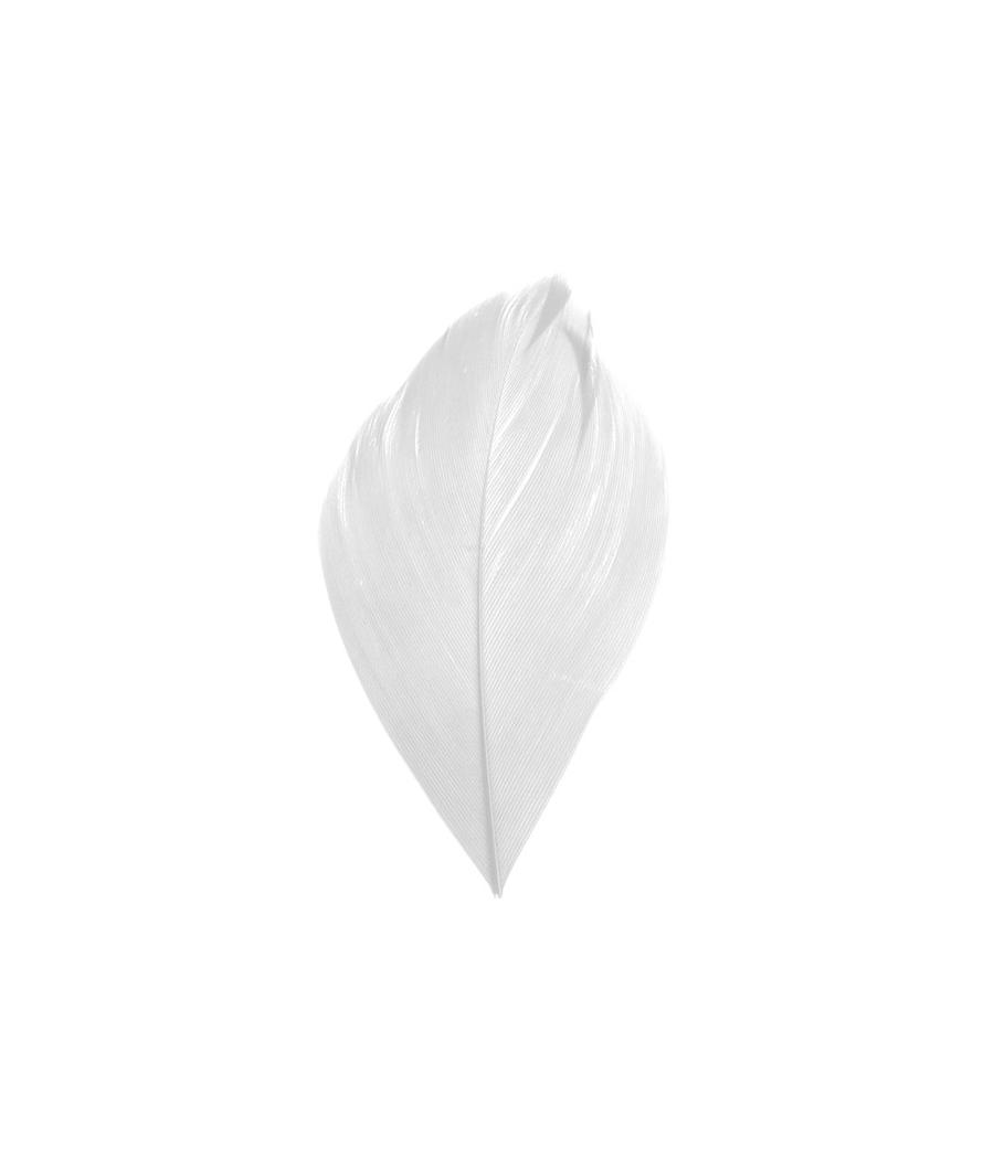PLUME BLANCHE
