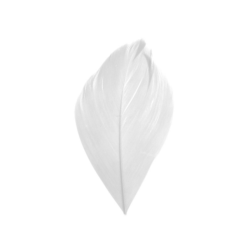 PLUME BLANCHE