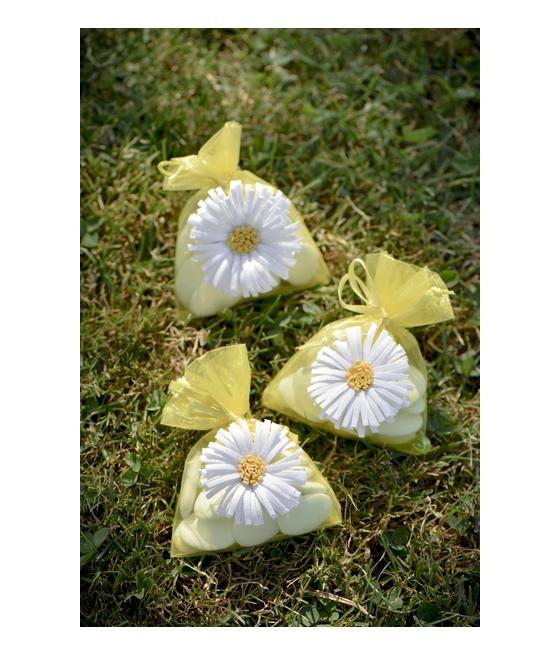 4 sachets marguerite