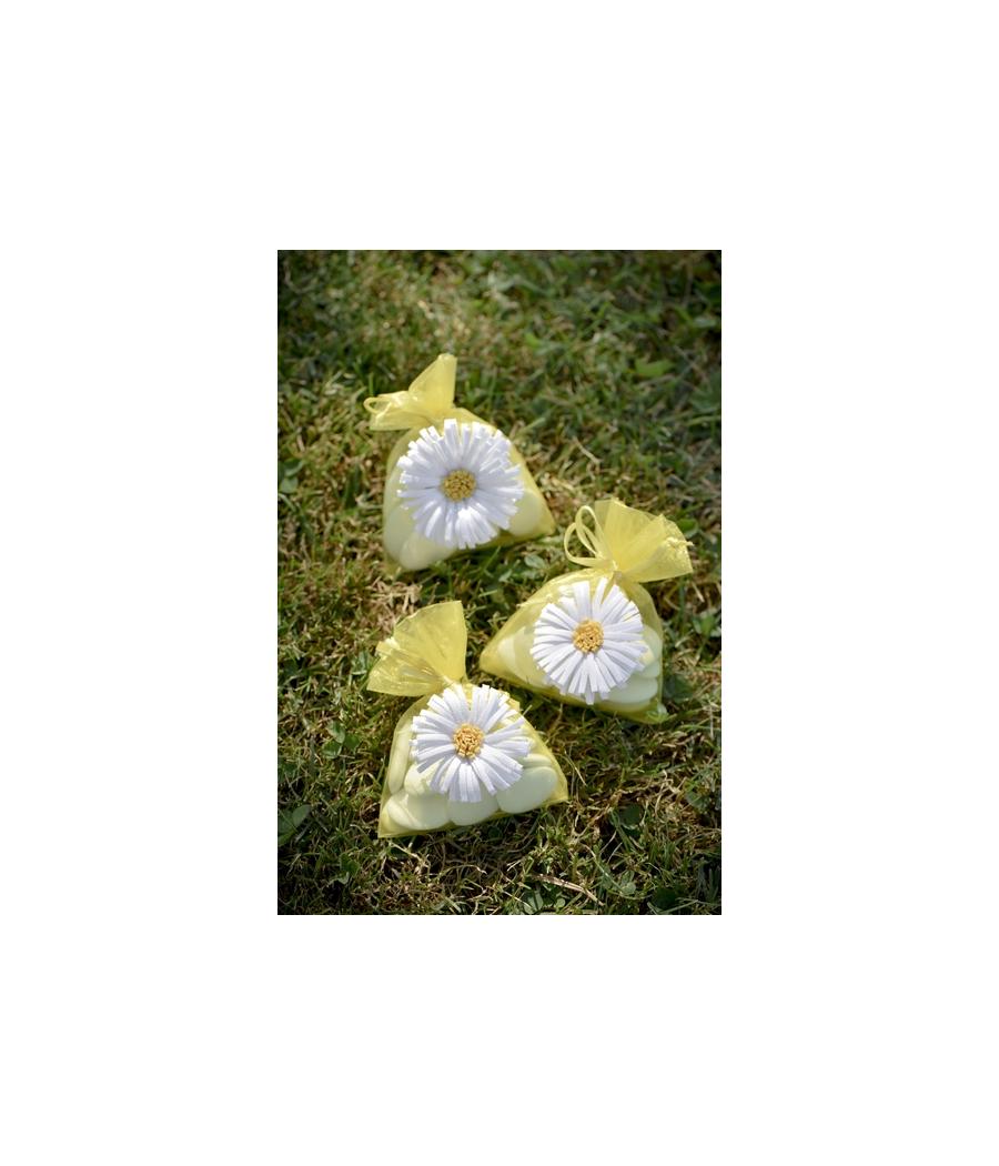 4 sachets marguerite