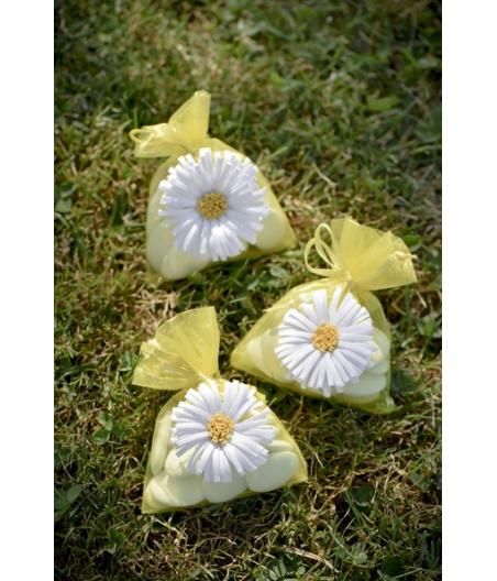 4 sachets marguerite