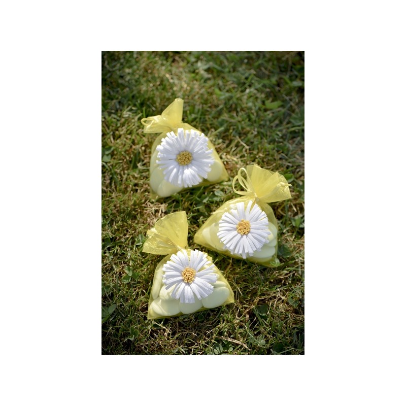 4 sachets marguerite