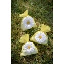 4 sachets marguerite