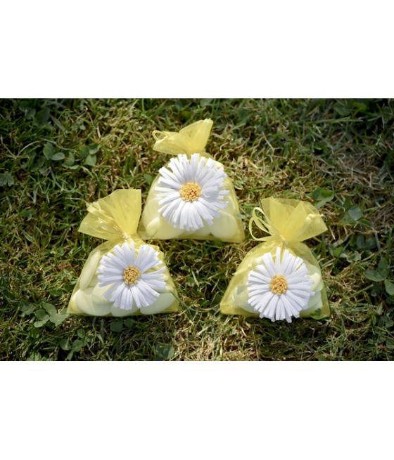 4 sachets marguerite