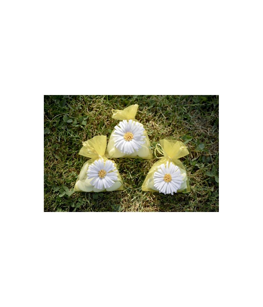 4 sachets marguerite