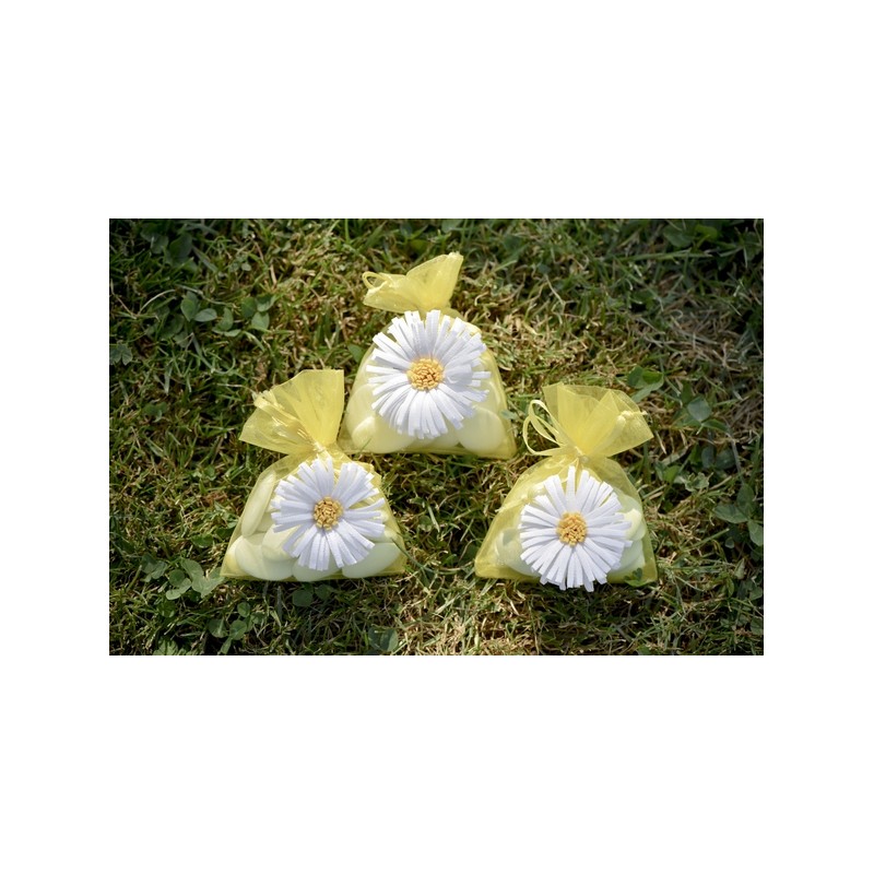4 sachets marguerite