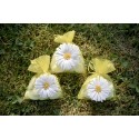 4 sachets marguerite