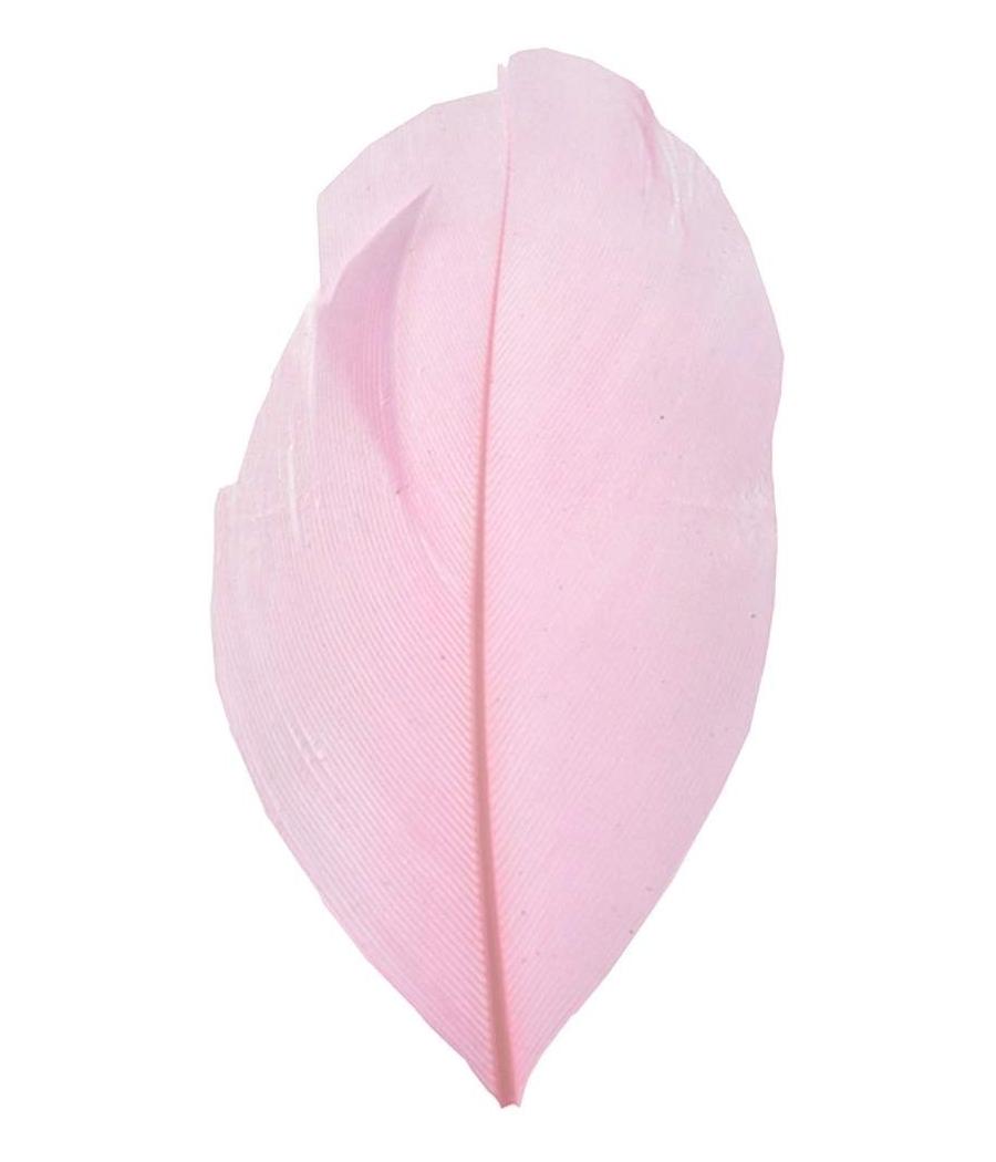 plume rose