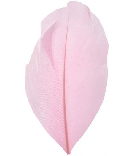 plume rose