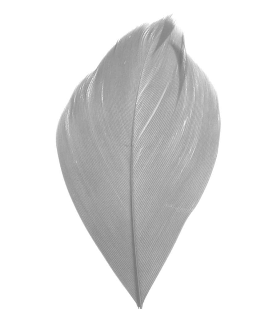 plume grise