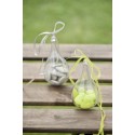 Goutte d'eau