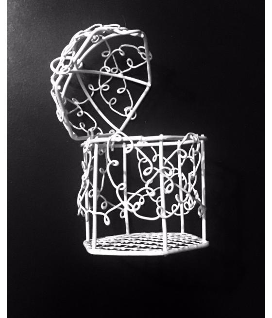 Cage en métal blanc