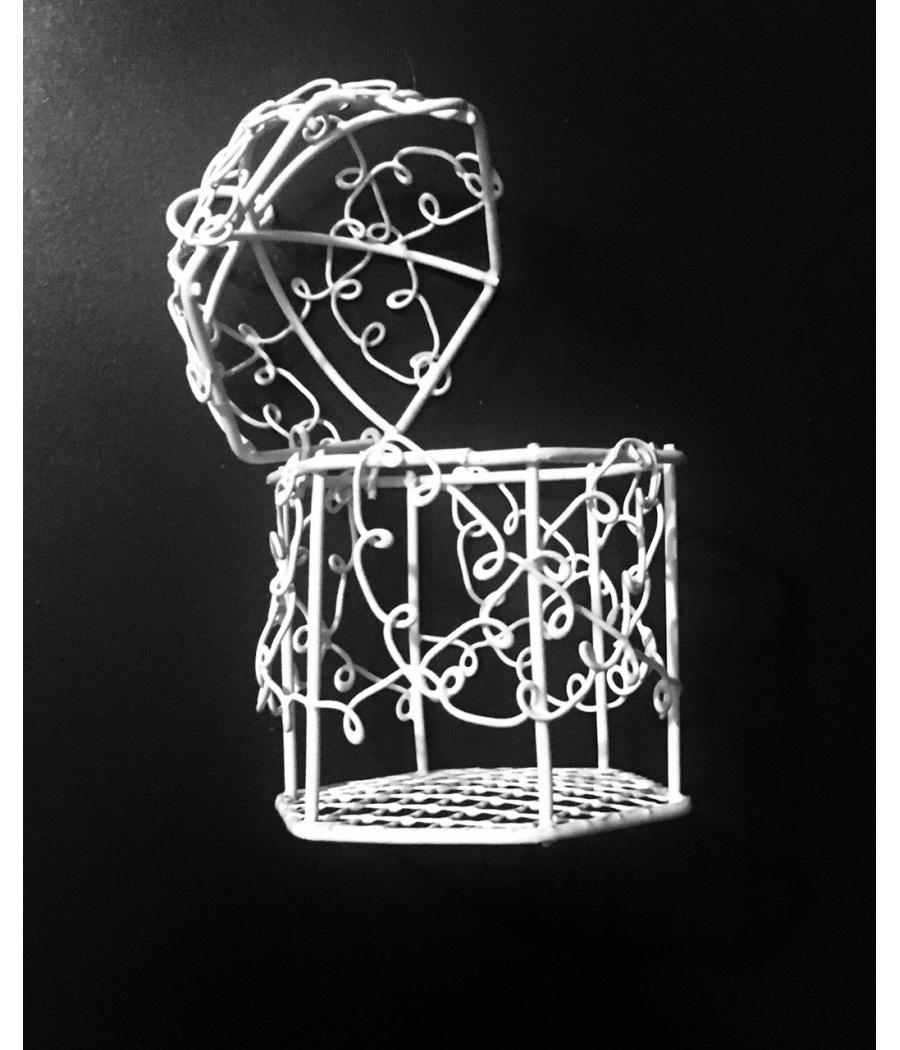 Cage en métal blanc