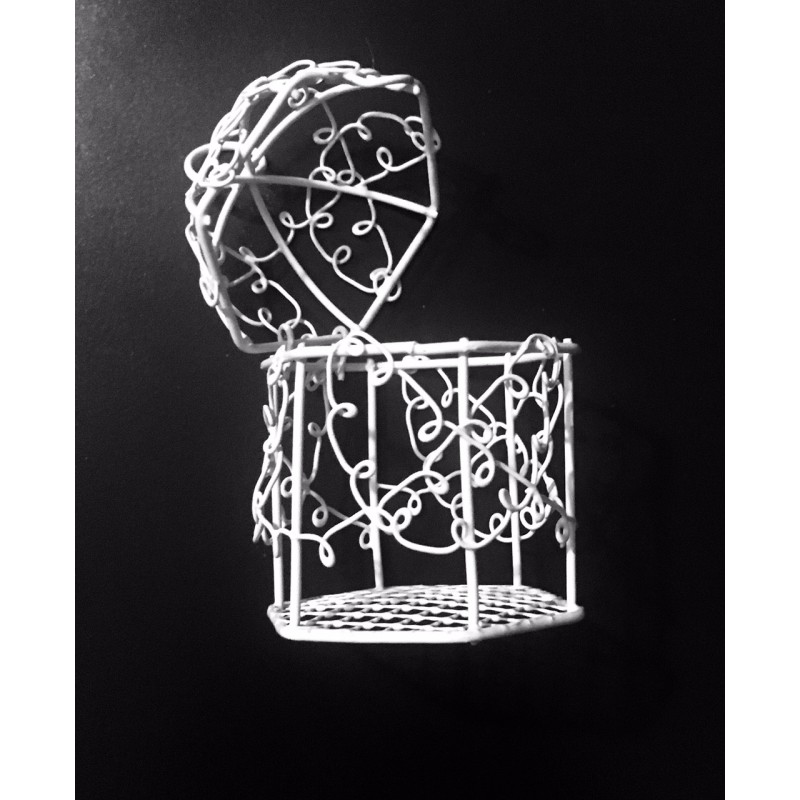 Cage en métal blanc