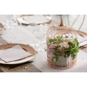 Tirelire cage Rose Gold