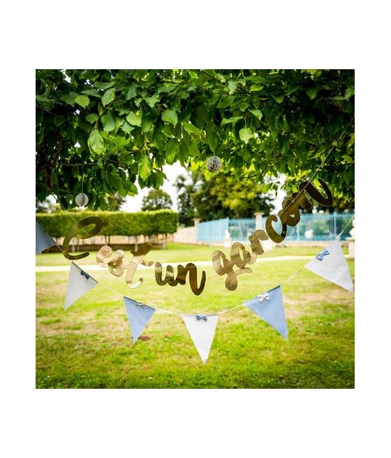 Guirlande C'est un garçon