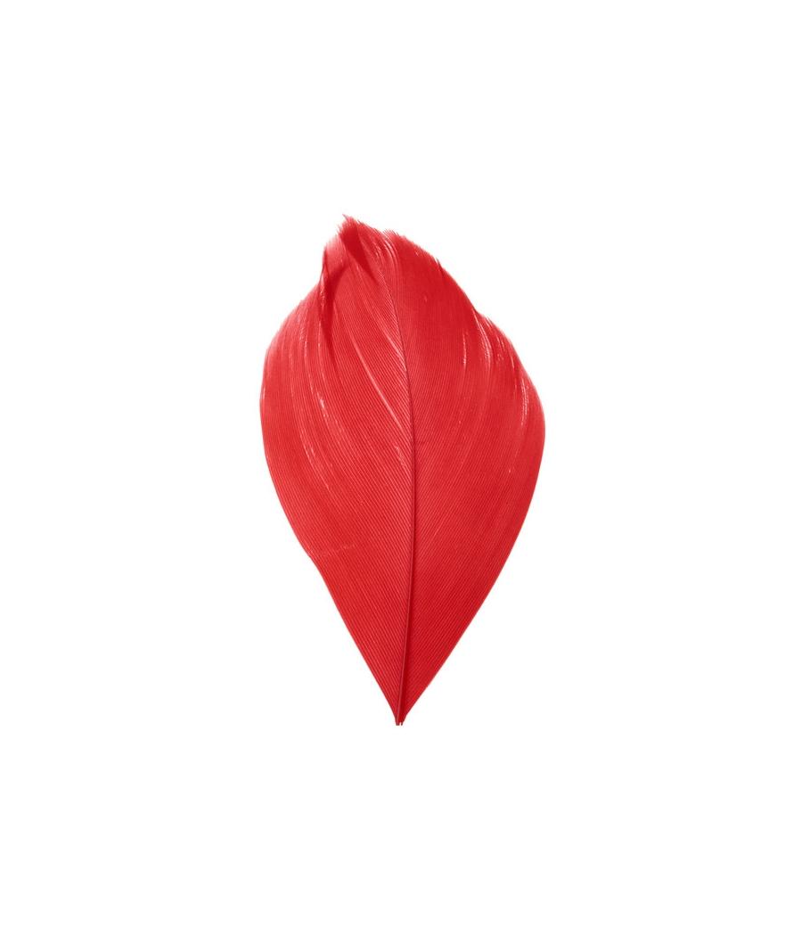 plume rouge