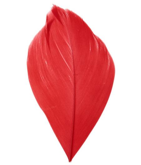 plume rouge