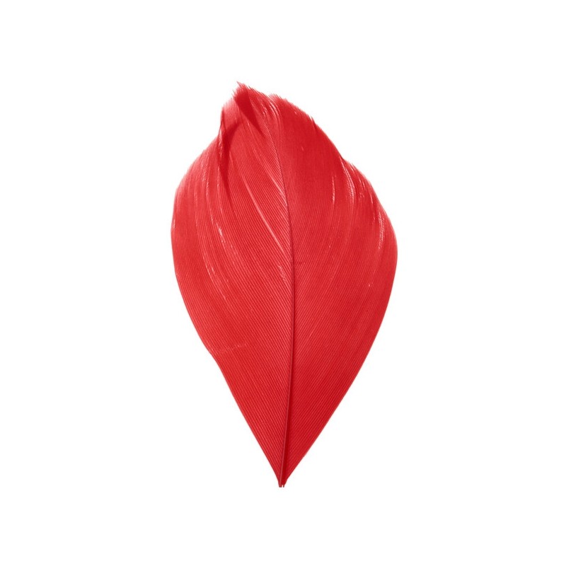 plume rouge