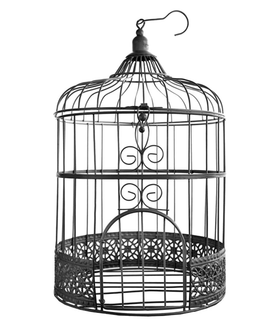 Tirelire cage boire