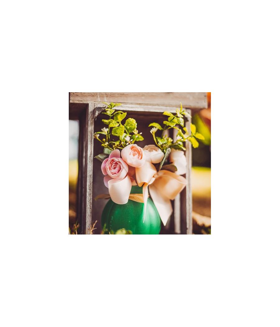 branche de pivoines
