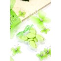 Boite papillon transparent -l'instant dragées