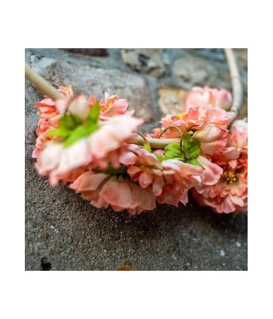 couronne de 6 pivoines